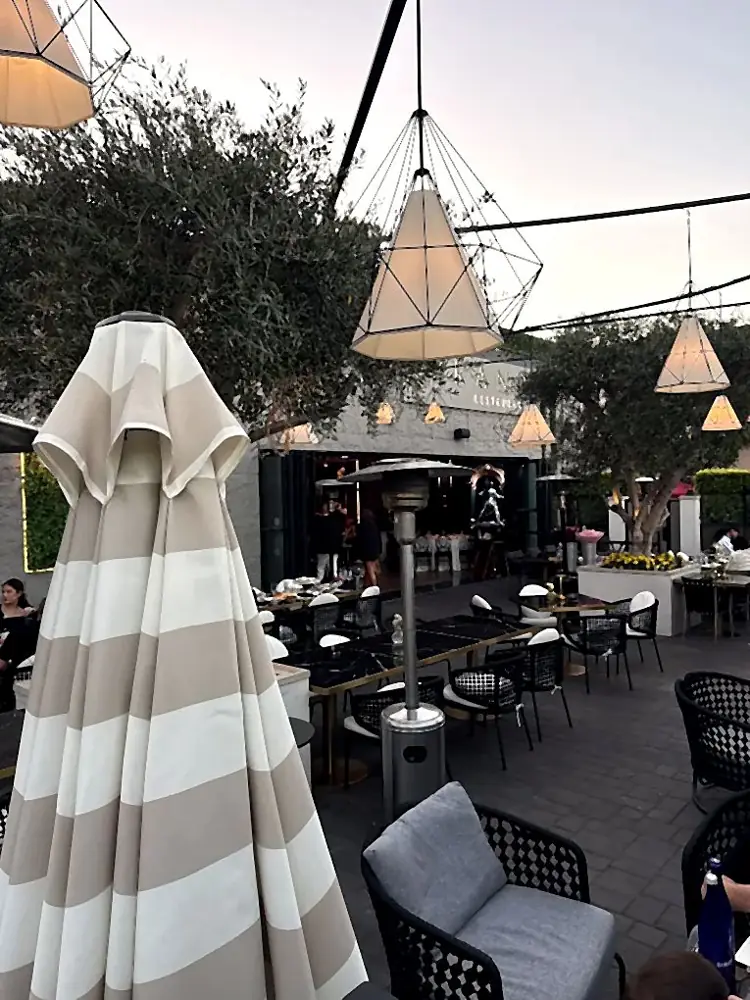 Outdoor dining tables among olive trees and hanging lights